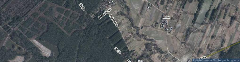 Zdjęcie satelitarne Pałacowa ul.